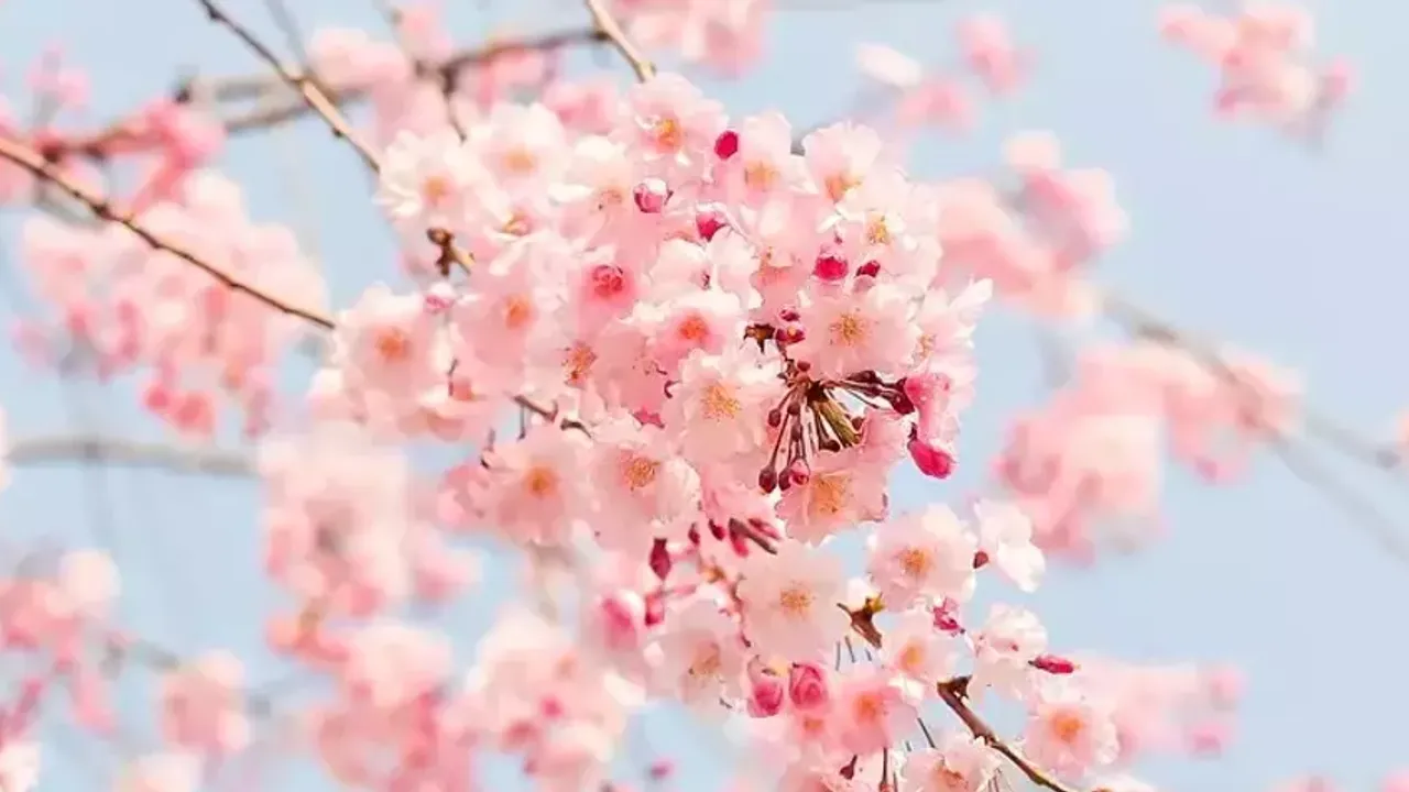 Kurban Bayramı’nda Sıcaklıklar Mevsim Normallerinin Üzerinde