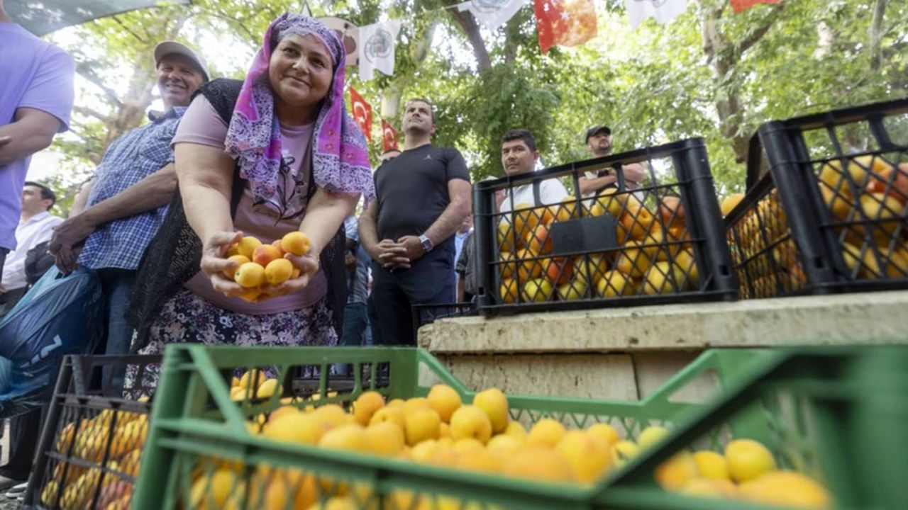 63. Mut Kayısı Festivali Başladı: Seçer’den Tarım ve Hukuk Vurgusu