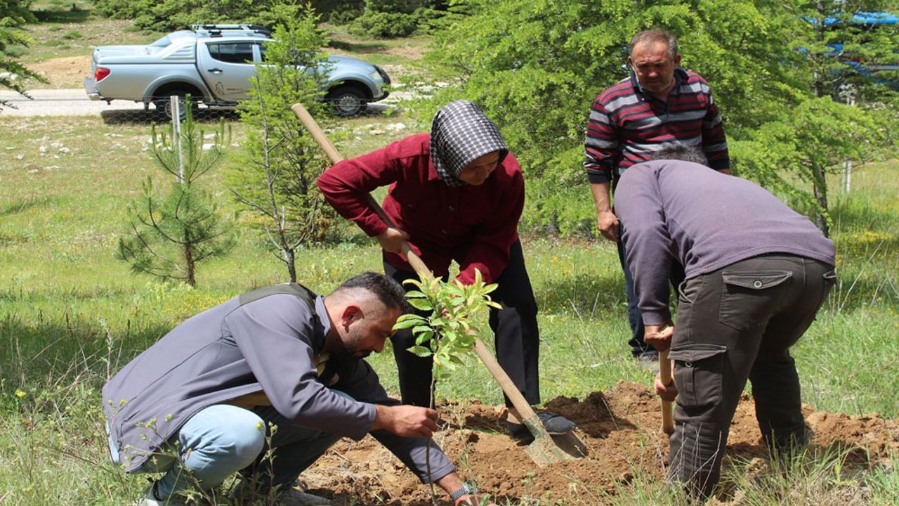 İbradı’da Şehitler Anısına Fidan Dikimi Yapıldı