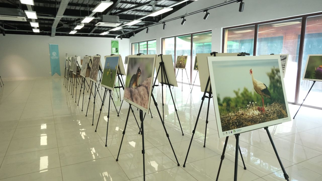 “Türkiye’nin Doğası” Fotoğraf Sergisi Ormanya’da Ücretsiz
