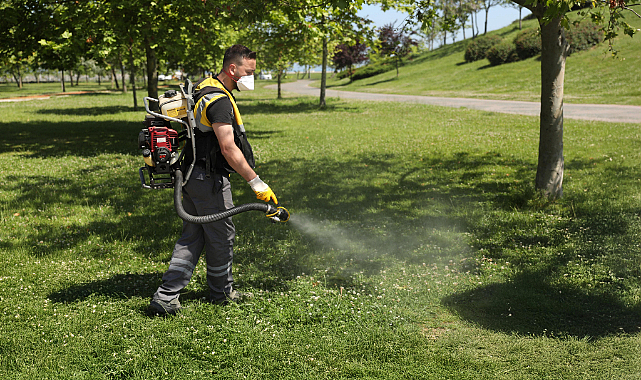“Samsun’da Kene Seferberliği: Parklar ve Sosyal Alanlar İlaçlanıyor”
