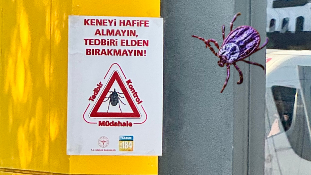 Sincan’da Kene Riskine Karşı Bilinçlendirme ve İlaçlama Artıyor