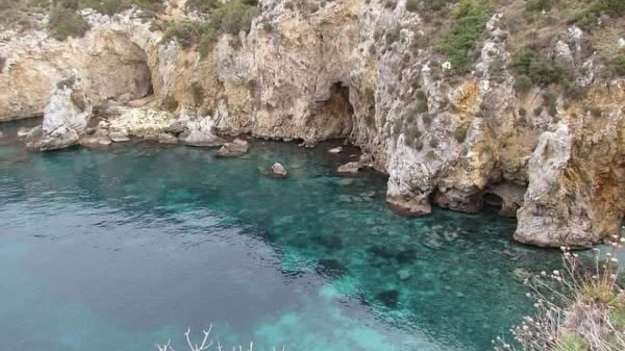 Kuşadası’nda Nesli Tehlike Altındaki Akdeniz Foku Görüntülendi