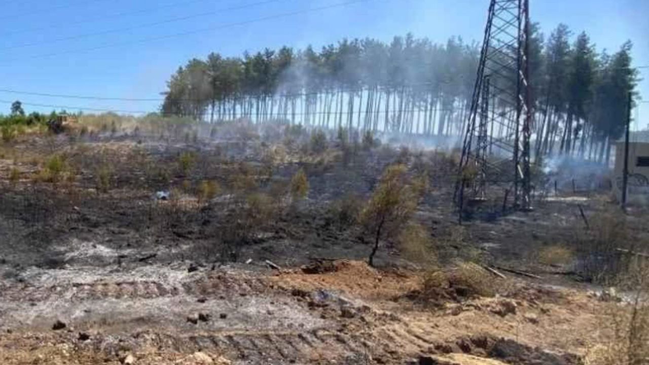 Antalya Aksu’da Hızlı Müdahaleyle Orman Yangını Kontrol Altına Alındı
