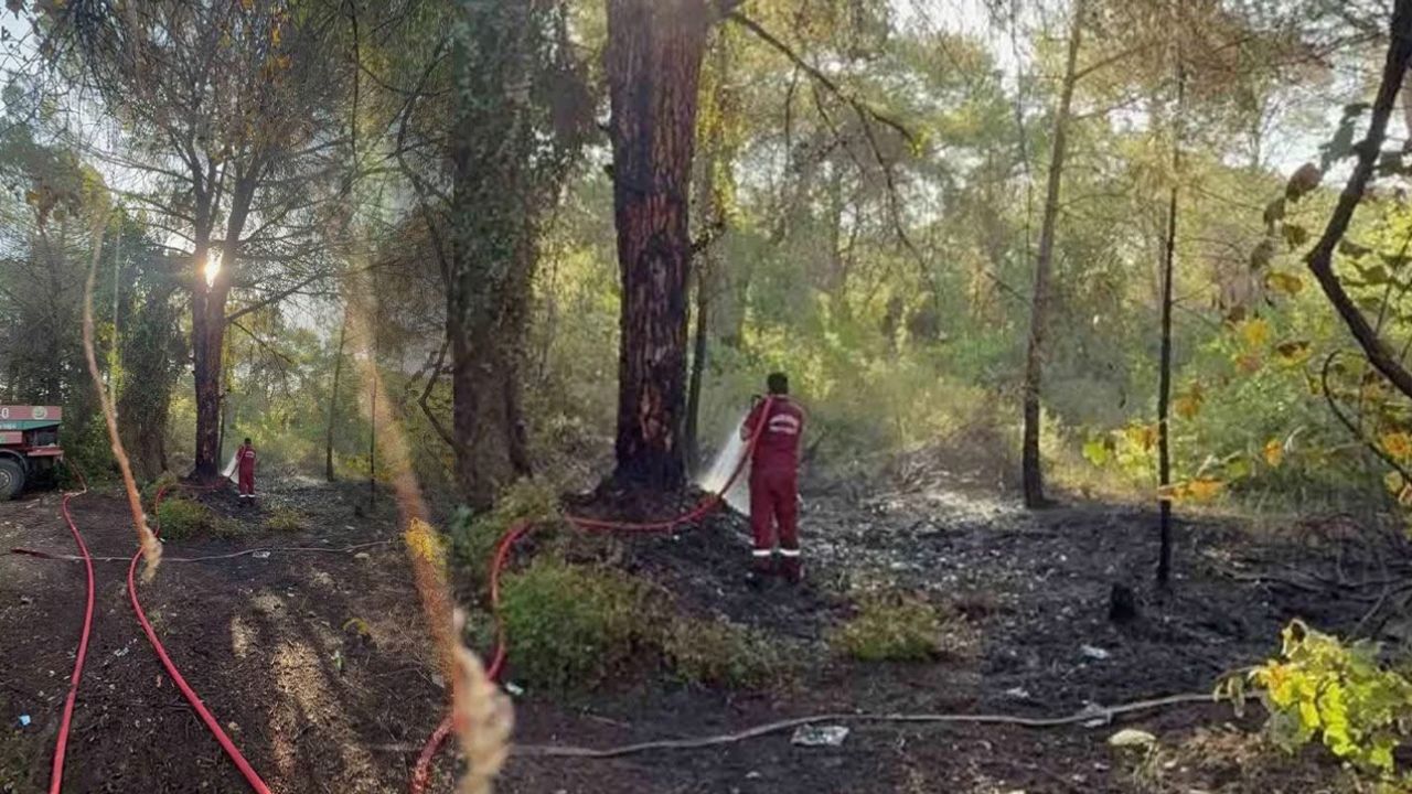 Serik’te Orman Yangını: 1 Dekar Alan Zarar Gördü