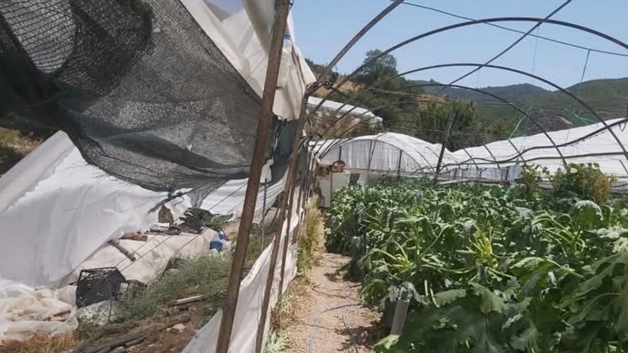 Antalya Kumluca’da Hortum Seraları Vurdu: Tarım Alanları Ağır Hasar Gördü