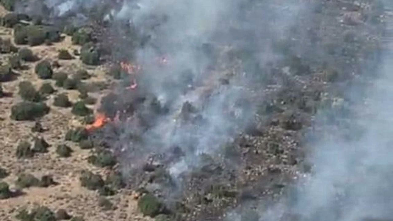 İzmir Kemalpaşa’da Orman Yangını: Havadan ve Karadan Müdahale