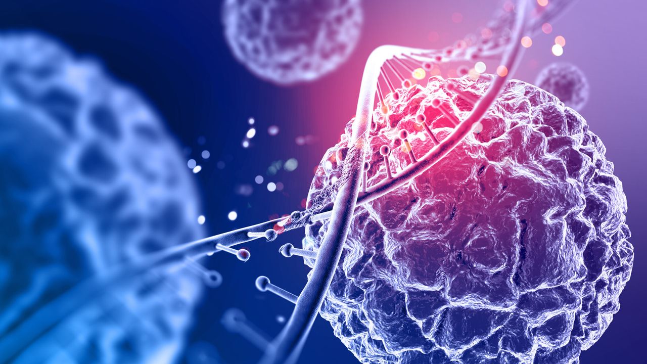 Johns Hopkins Üniversitesi Kanseri Yıllar Önceden Tespit Eden Kan Testi Geliştirdi