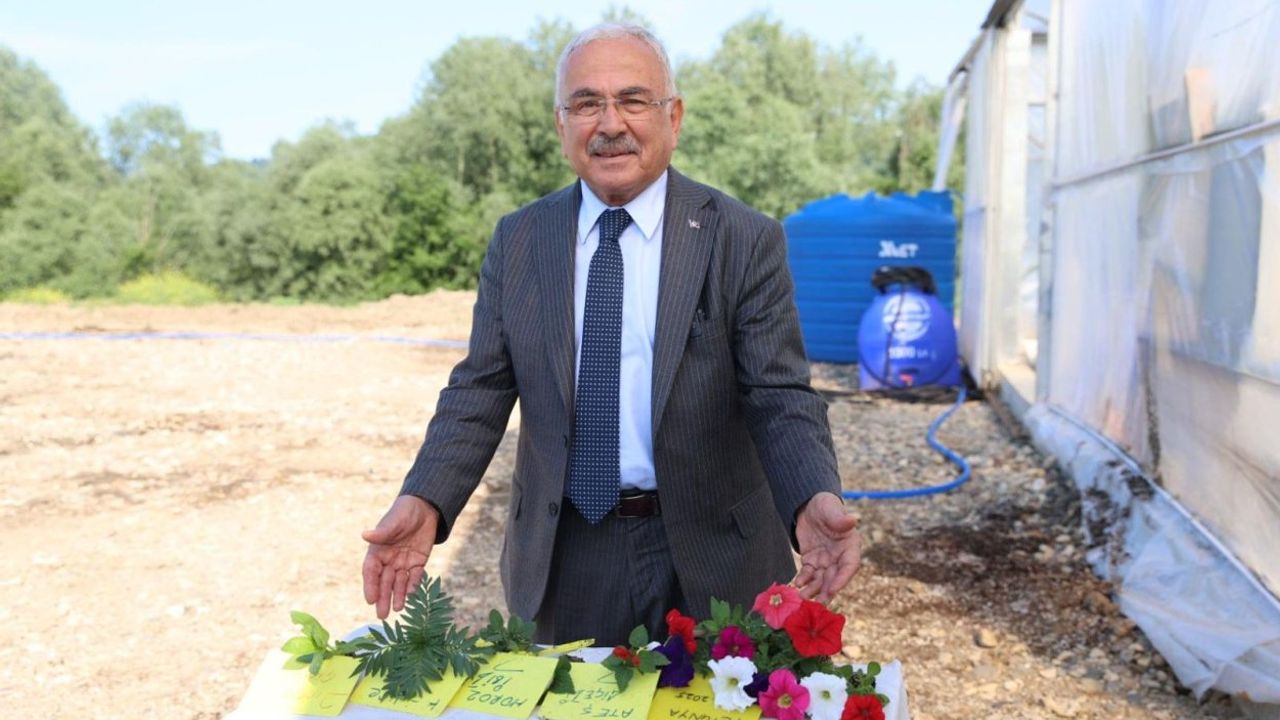 Ordu Yerli Üretimle Çiçek İhtiyacını Karşılıyor