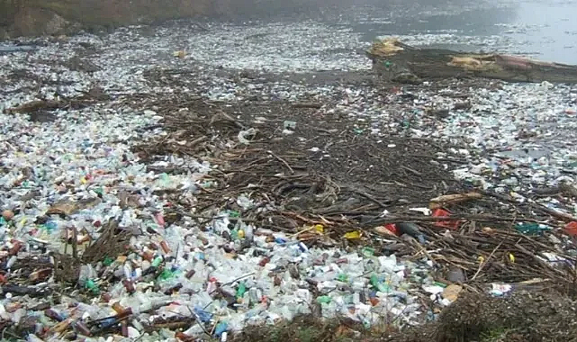 “Plastikteki DEHP Kimyasalları 350 Bin Kalp Ölümüyle İlişkilendirildi”