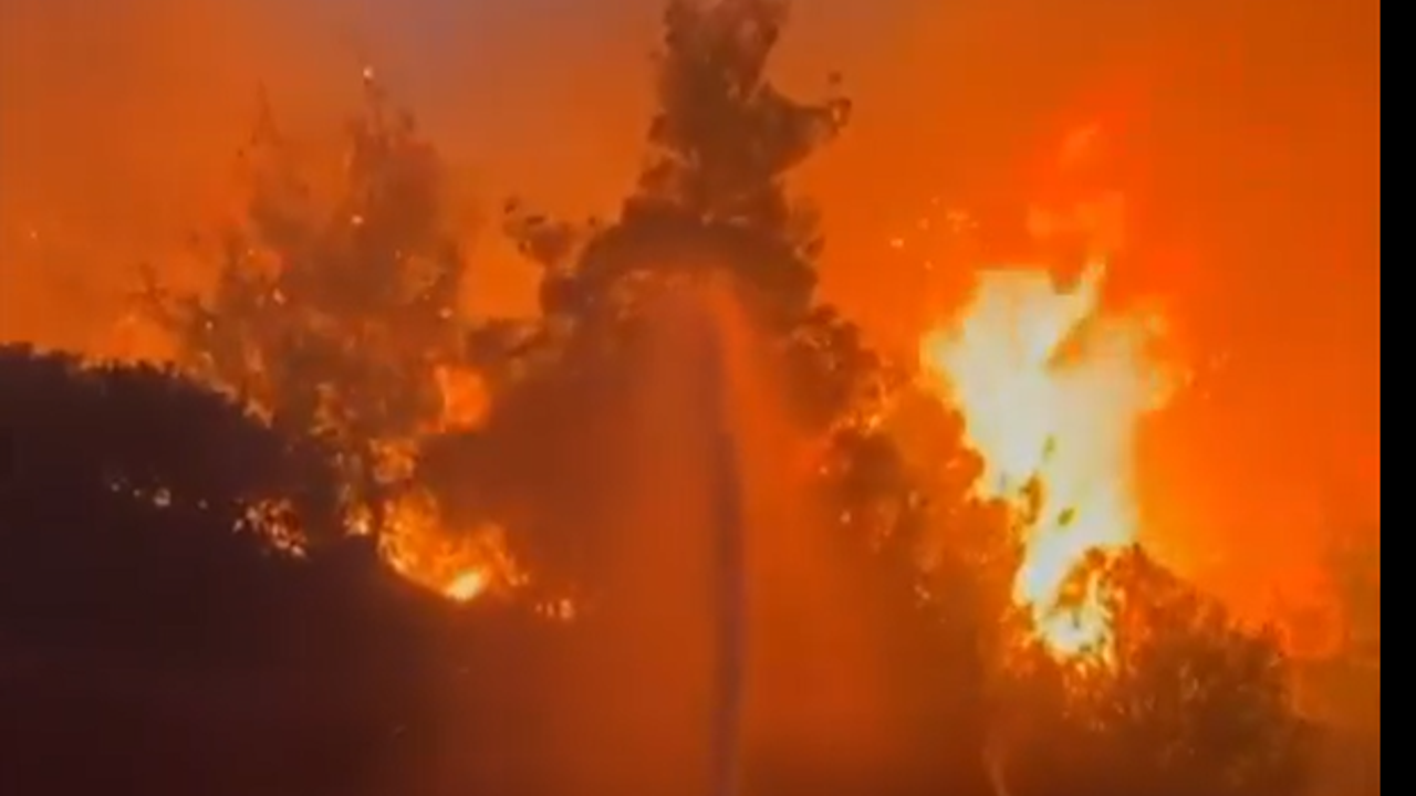 Türkiye’de 5 Günde 342 Orman Yangını: 6 İlde Mücadele Sürüyor