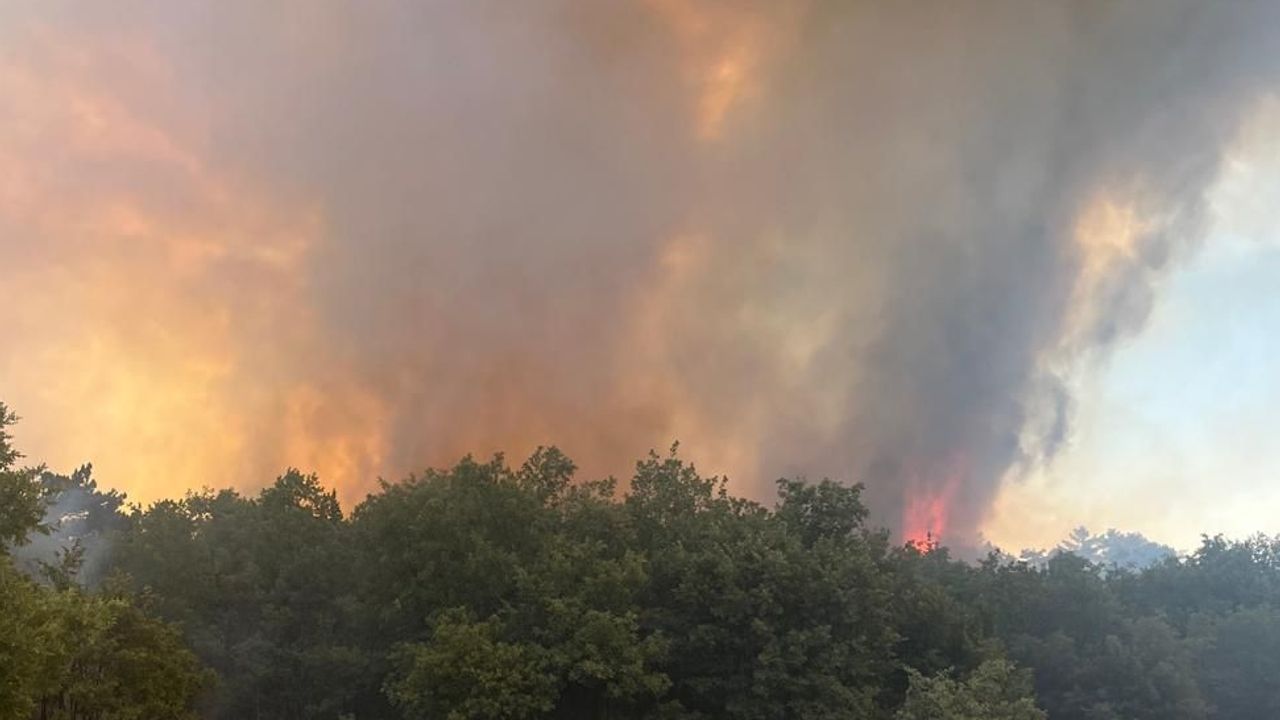 Eskişehir’de Orman Yangını: Ekipler Seyitgazi’de Müdahalede