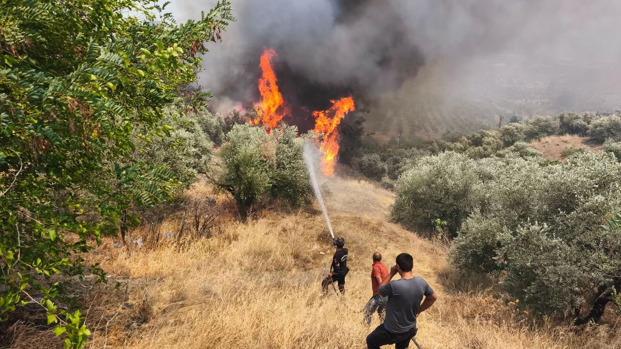 2024’te 864 Orman Yangını Kontrol Altına Alındı: 131 Bin Gönüllü Aktif Rol Aldı