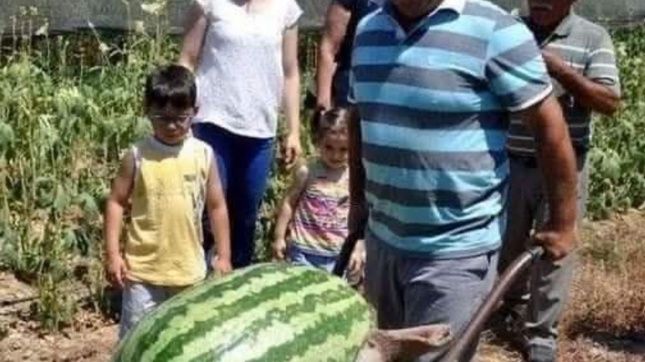 Manavgat’ta 58 Kiloluk Rekor Karpuz Yetiştirildi