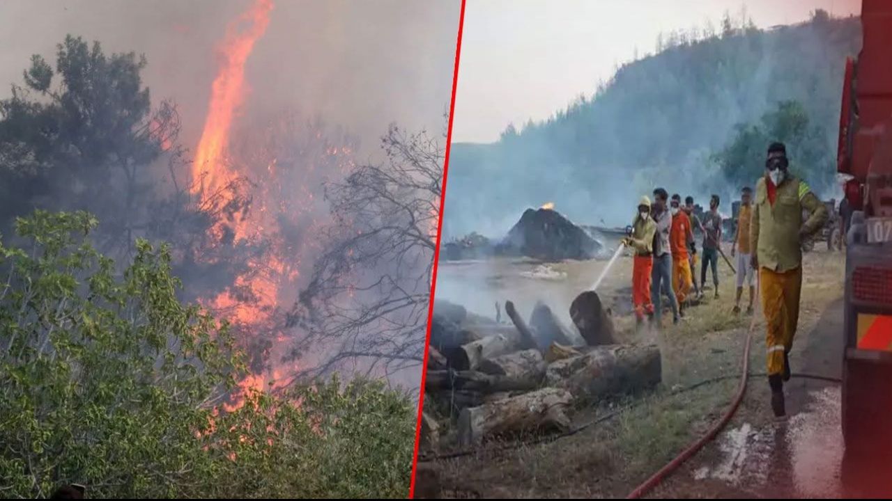 Antalya’da Sıcak Hava Dalgası 14 Orman Yangınını Tetikledi