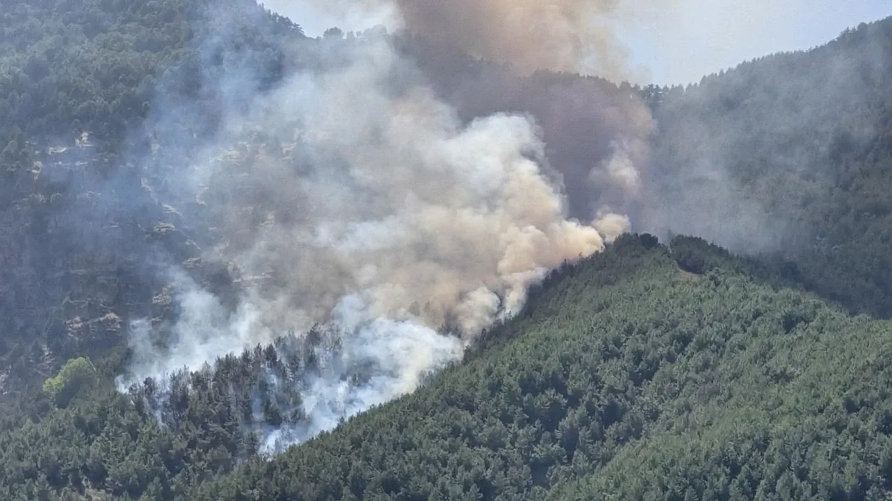 Balıkesir’de Orman Yangını Ekiplerin Müdahalesiyle Kontrol Altında