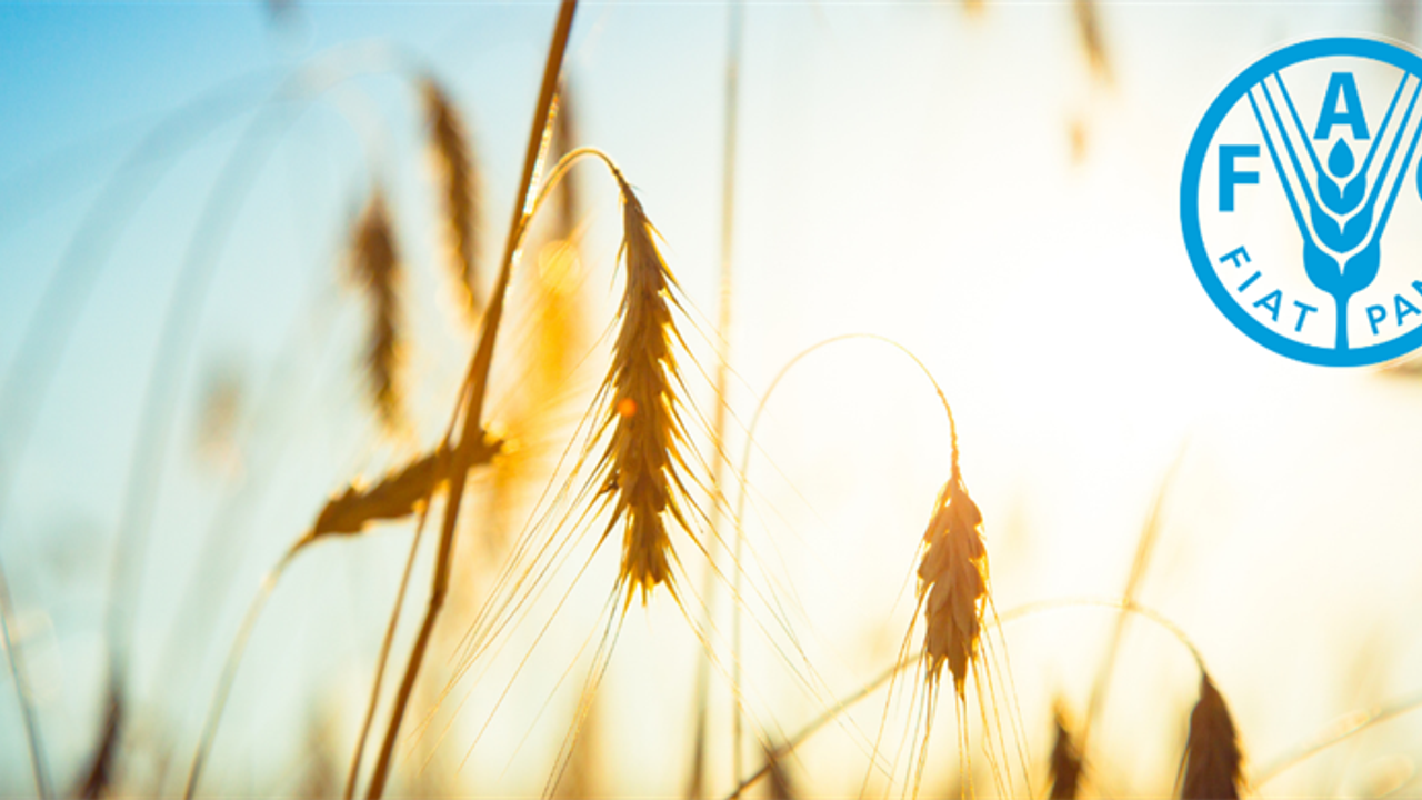 Türkiye FAO Konseyi’ne 127 Oy ile Seçildi
