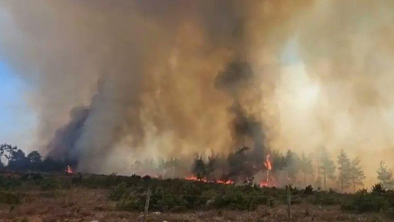 Türkiye’deki Orman Yangınları Büyük Ölçüde Kontrol Altında