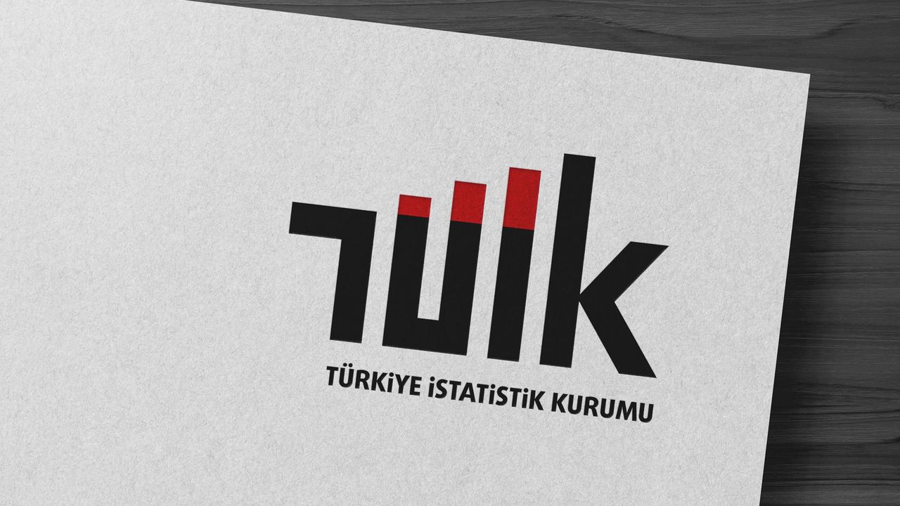 TÜİK Resmi İstatistik Programını Güncelledi: Yeni Alanlar Eklendi