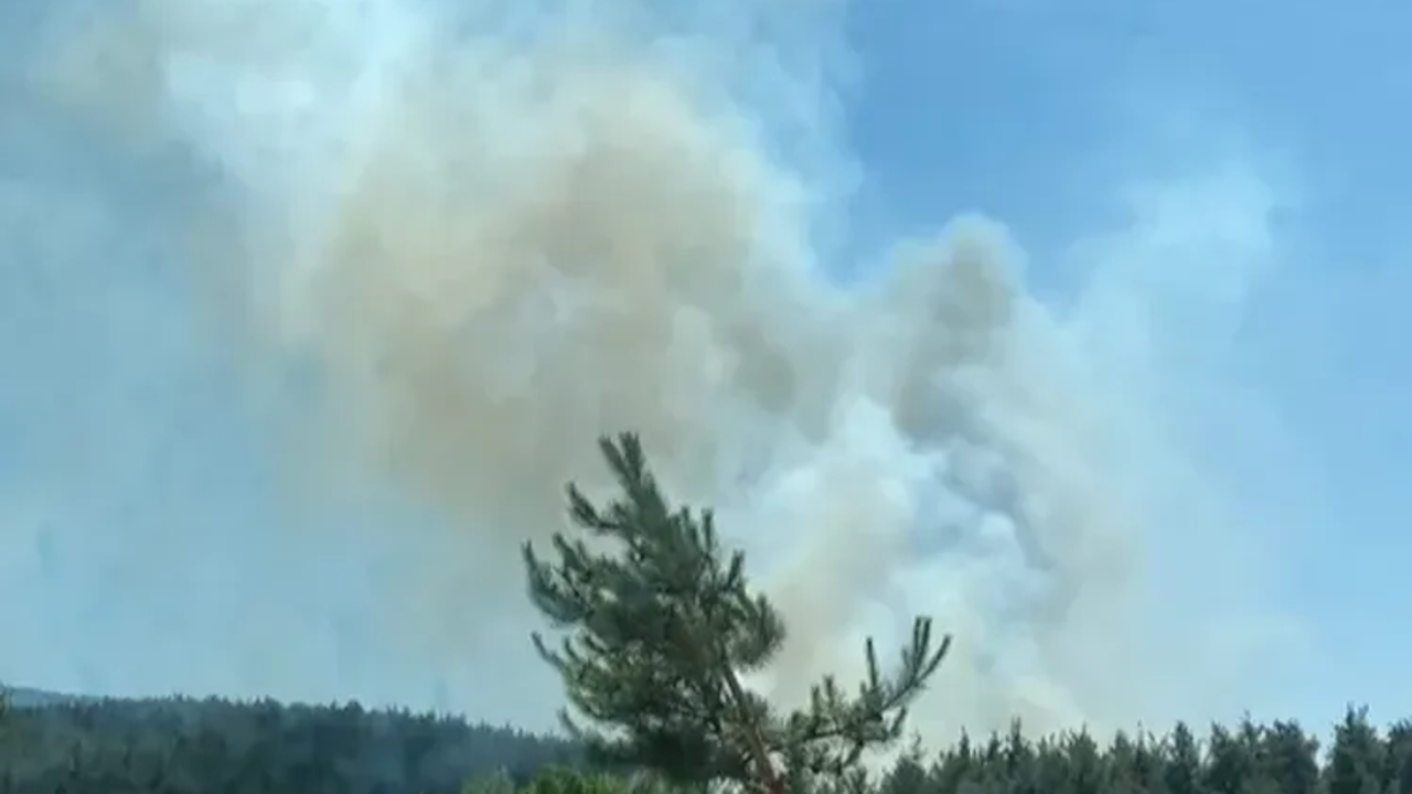 Antalya’daki Orman Yangınları Kontrol Altına Alındı
