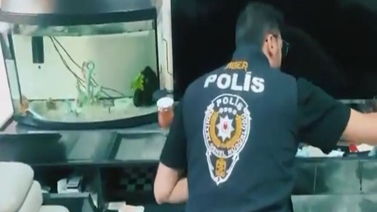 18 İlde Siber Suç Operasyonu: 170 Şüpheli Yakalandı