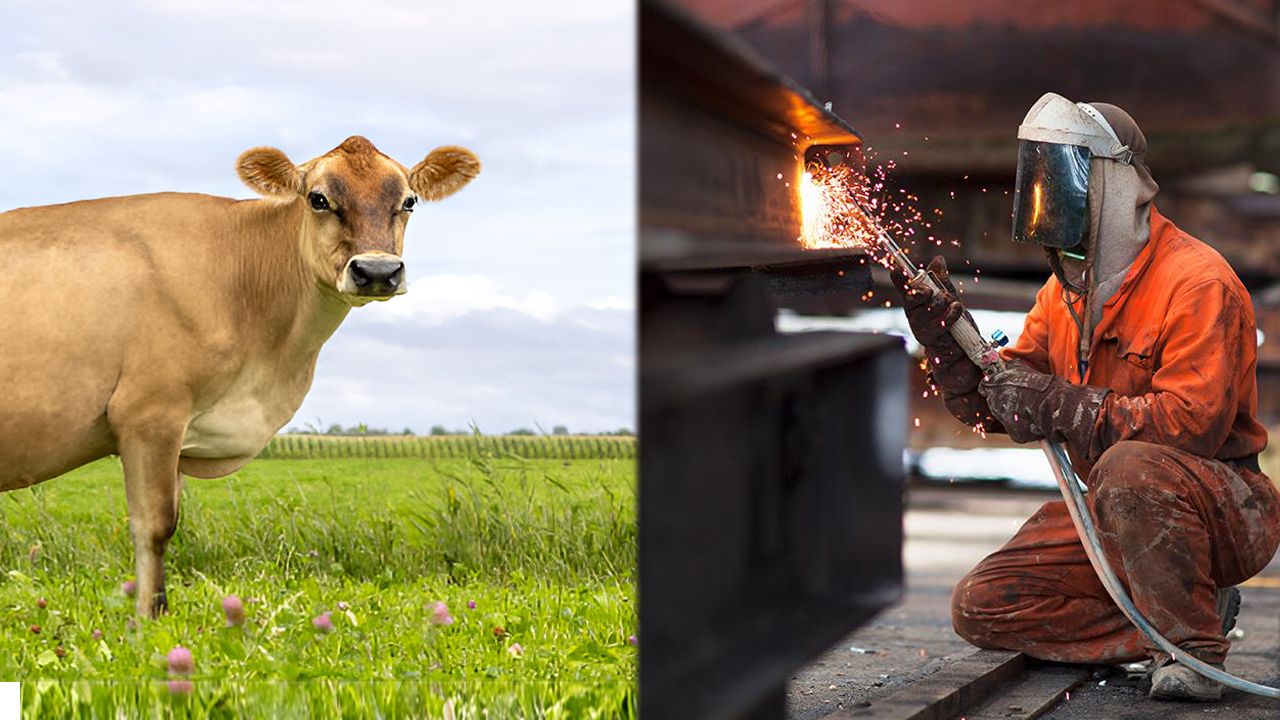 Savunma Sanayii İçin Kırıkkale’de Hayvan Pazarı Taşınıyor