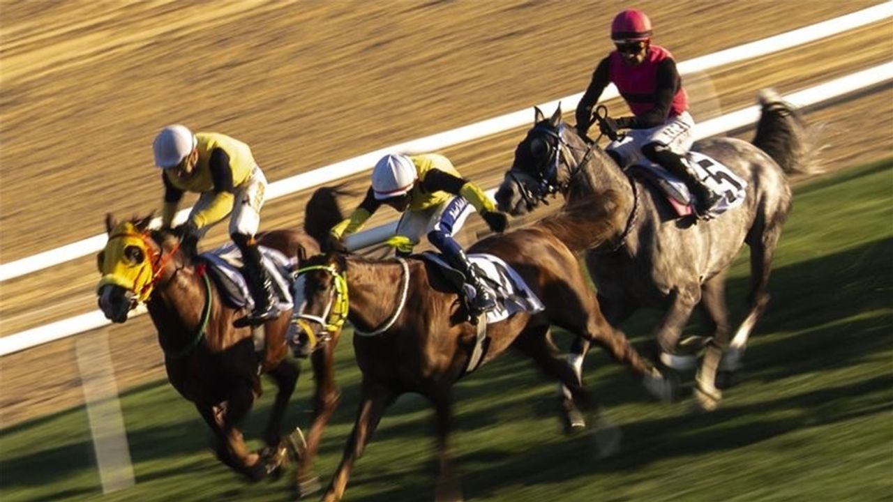 Bakan Bak, Cumhurbaşkanlığı ve Cumhuriyet Koşusu Kazananlarını Tebrik Etti