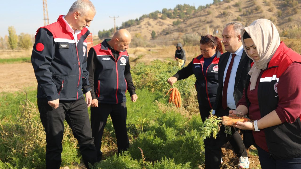 Kırıkkale’de Bahşılı Havucu Markalaşma Çalışmaları