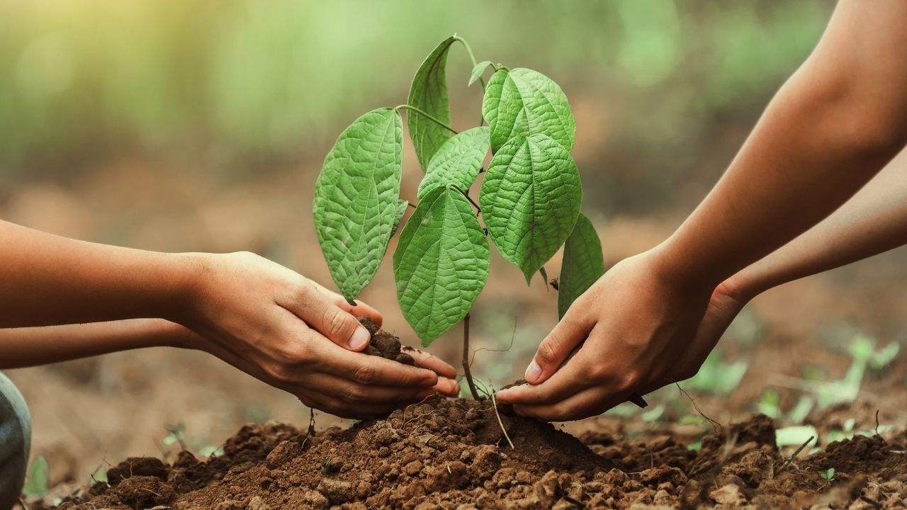 Bakan Yumaklı: Tarımda Gençlere Destek Yüzde 67’ye Ulaştı
