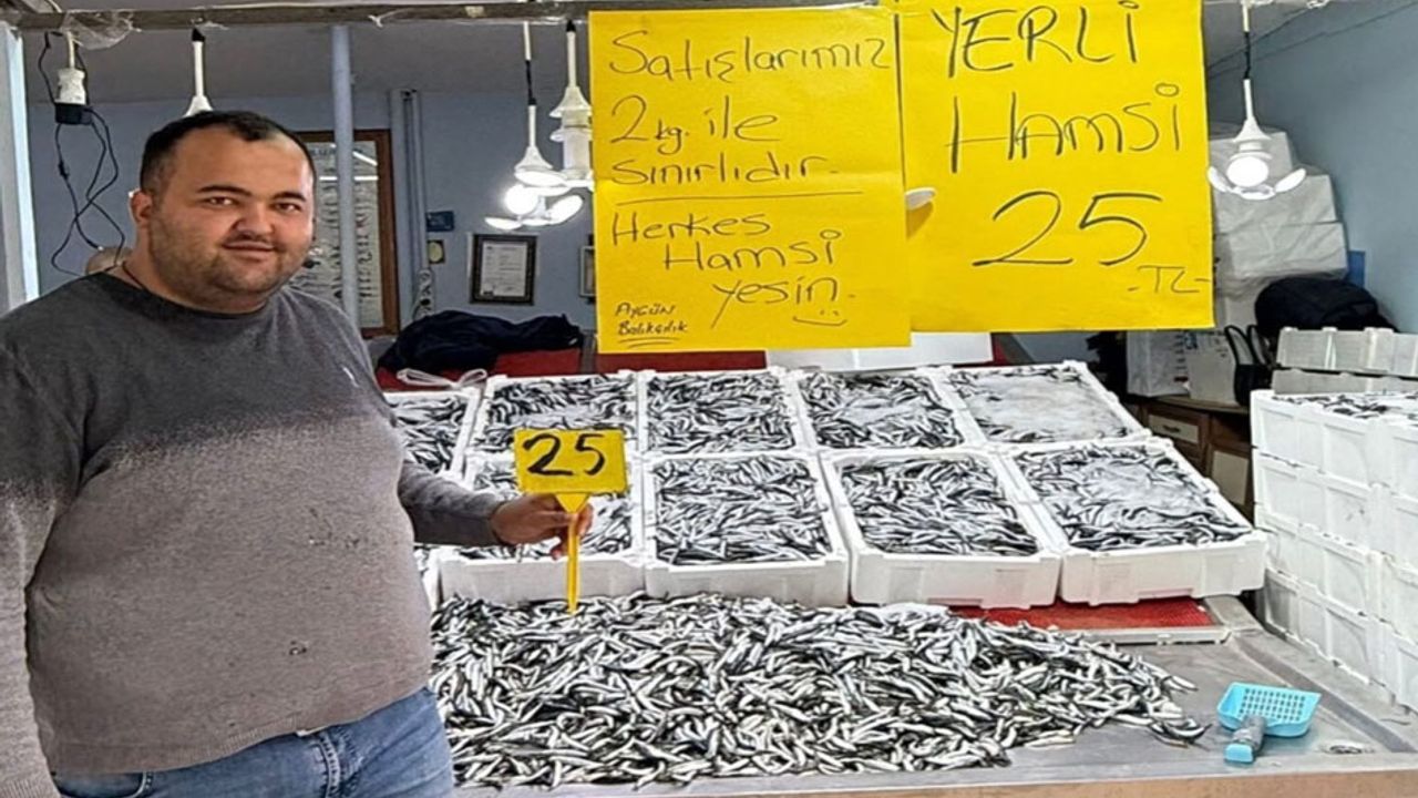 Fatsa’da Hamsi Fiyatları 20 TL’ye Düşebilir