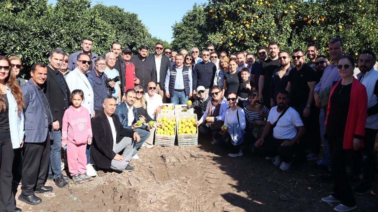 AGC ve MÜSİAD Finike’de Portakal Üretimini İnceledi