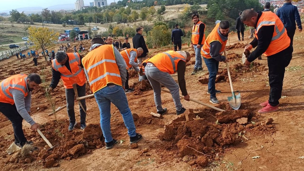 Yalvaç’ta 45 Bin Fidan Toprakla Buluşuyor