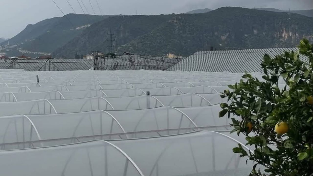 Demre’de Hortum Tarım Alanlarını Vurdu