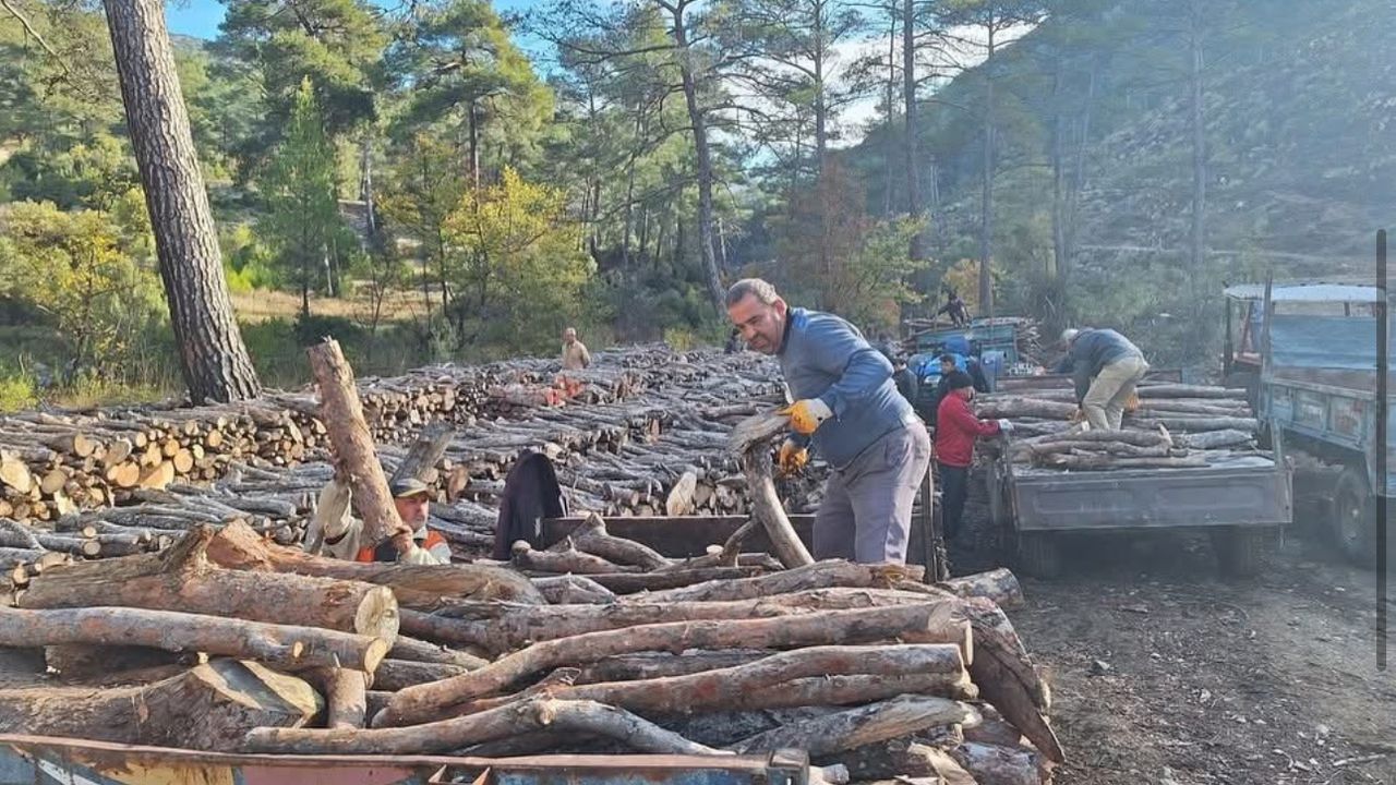 Kaş Sarıbelen’de Kışlık Yakacak Odun Dağıtımı Tamamlandı