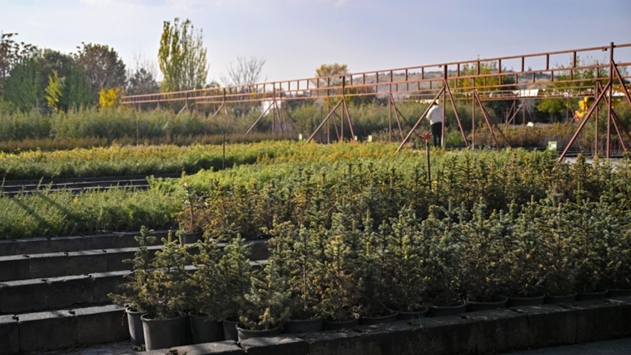 Milli Ağaçlandırma Günü’nde 15 Milyon Fidan Hedefi