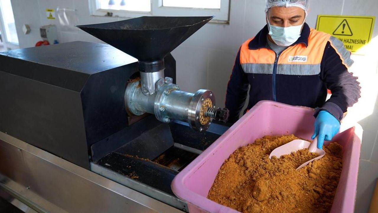 Didim’de Gıda Atıkları Sokak Hayvanları İçin Mamaya Dönüştürülüyor