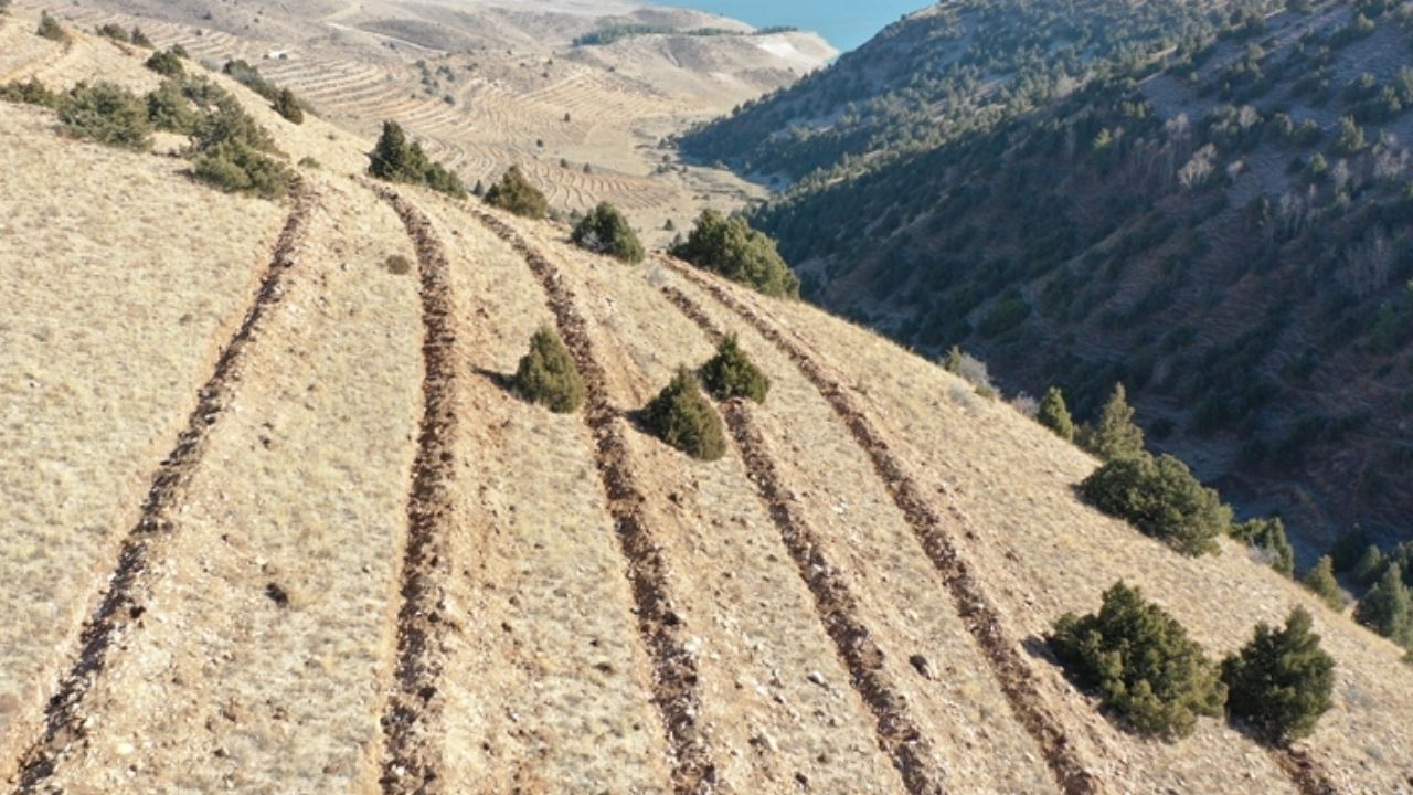 Erzurum’da 1 Milyon Fidan ve 7,6 Milyon Tohum Toprakla Buluştu