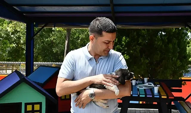 Kuşadası’nda Sokak Hayvanları İçin Doğal Yaşam Alanı Projesi