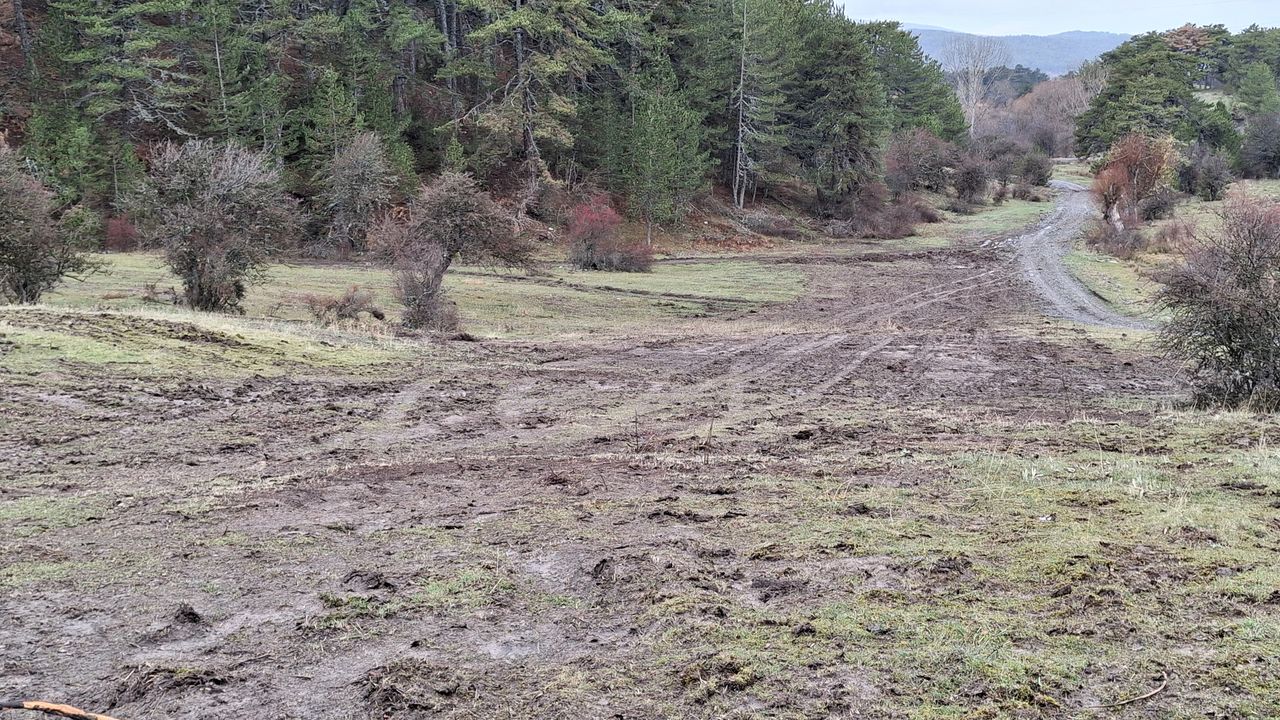 Karagöl Yaylası’nda Kış Keyfi İçin Kızak Pistleri Hazır
