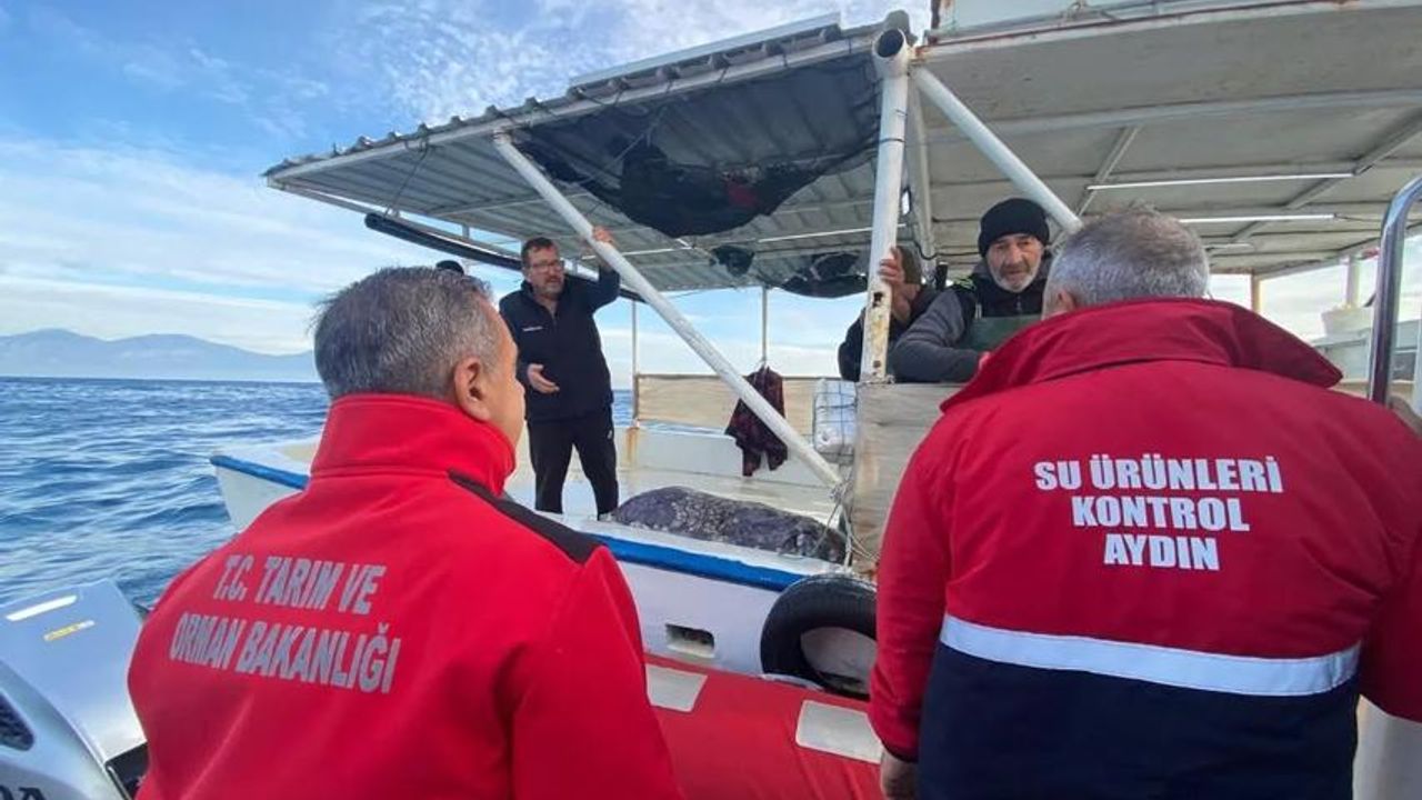 Aydın’da Su Ürünleri Denetimleri Kararlılıkla Sürüyor