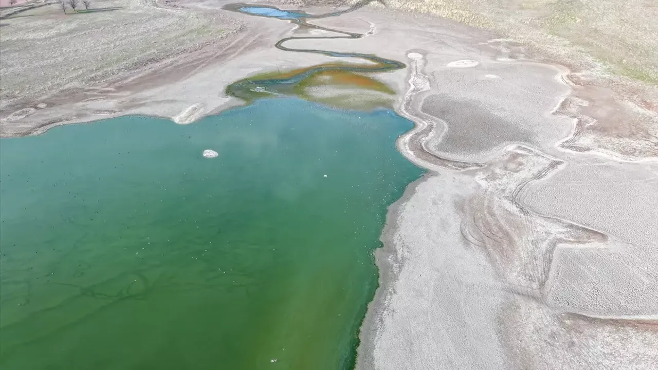 Dicle Üniversitesi’ndeki Kabaklı Göleti Kuruyor, Yaban Hayatı Tehlikede