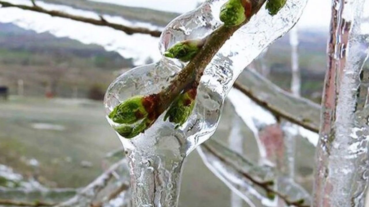 Manavgat’ta Çanakyaran Yaylası Buz Kütlesine Döndü
