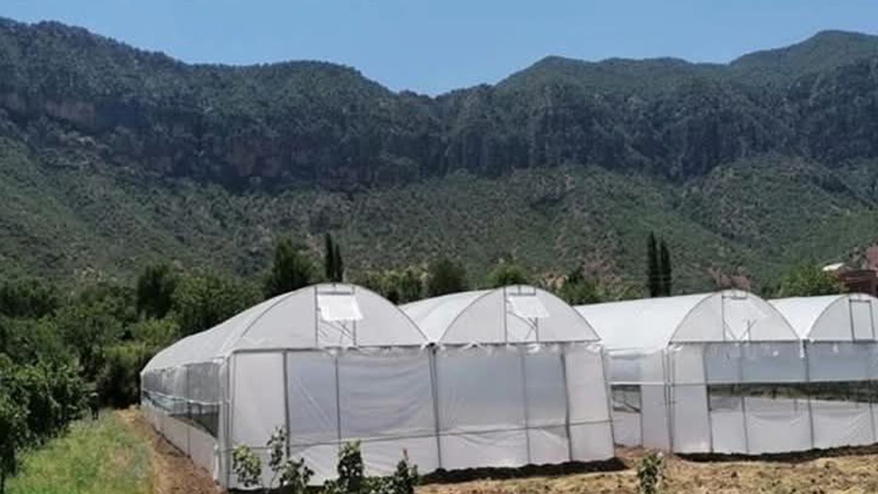 Orman Seraları Yıkımı Hasat Dönemi Sonuna Ertelendi