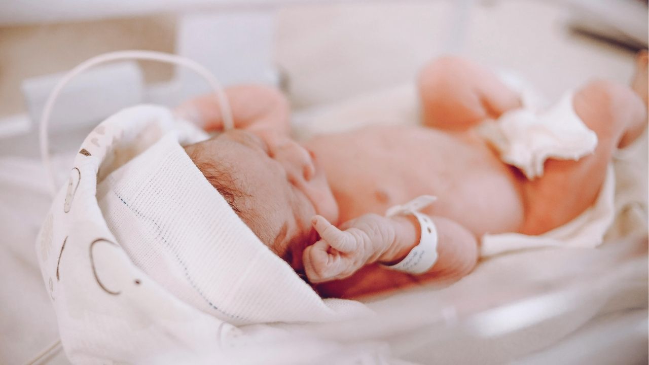 Doğum İzni 24 Haftaya Çıkıyor, Sosyal Medya Düzenlemesi Geliyor