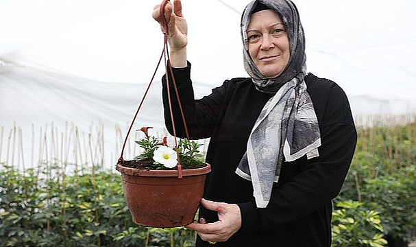Ev Hanımından Sera Sahibine: Aylık 100 Bin Lira Gelir