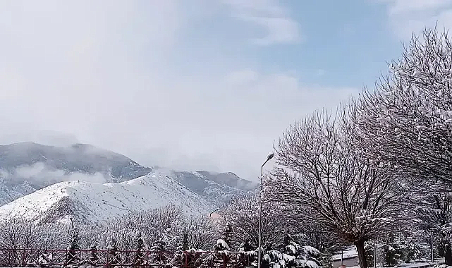 Gümüşhane’de Bahar Donu Meyve Ağaçlarını Tehdit Ediyor