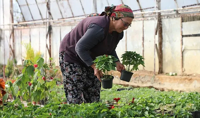 Muğla’da kadın emeğiyle 28 milyon çiçek üretildi