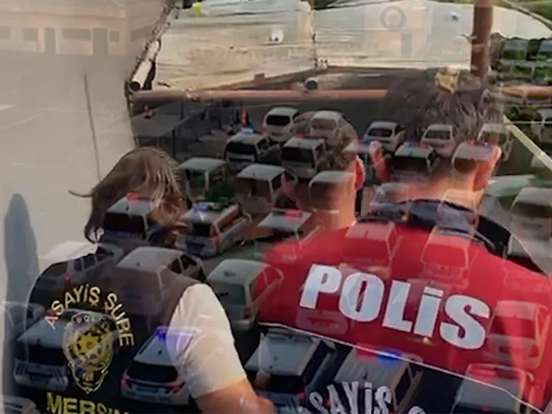 Nitelikli dolandırıcılığa 23 ilde operasyon: 307 şüpheli yakalandı