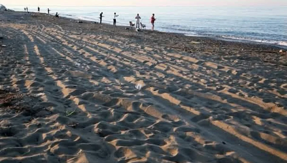Antalya’da caretta caretta yuvalama alanlarında ceza 699 bin TL’ye çıktı