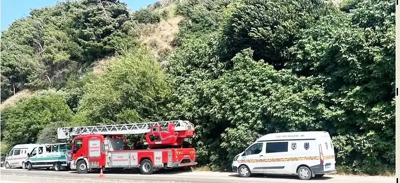 Hatay’da ormanlık alanda ağaca asılı erkek cesedi bulundu